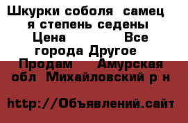 Шкурки соболя (самец) 1-я степень седены › Цена ­ 12 000 - Все города Другое » Продам   . Амурская обл.,Михайловский р-н